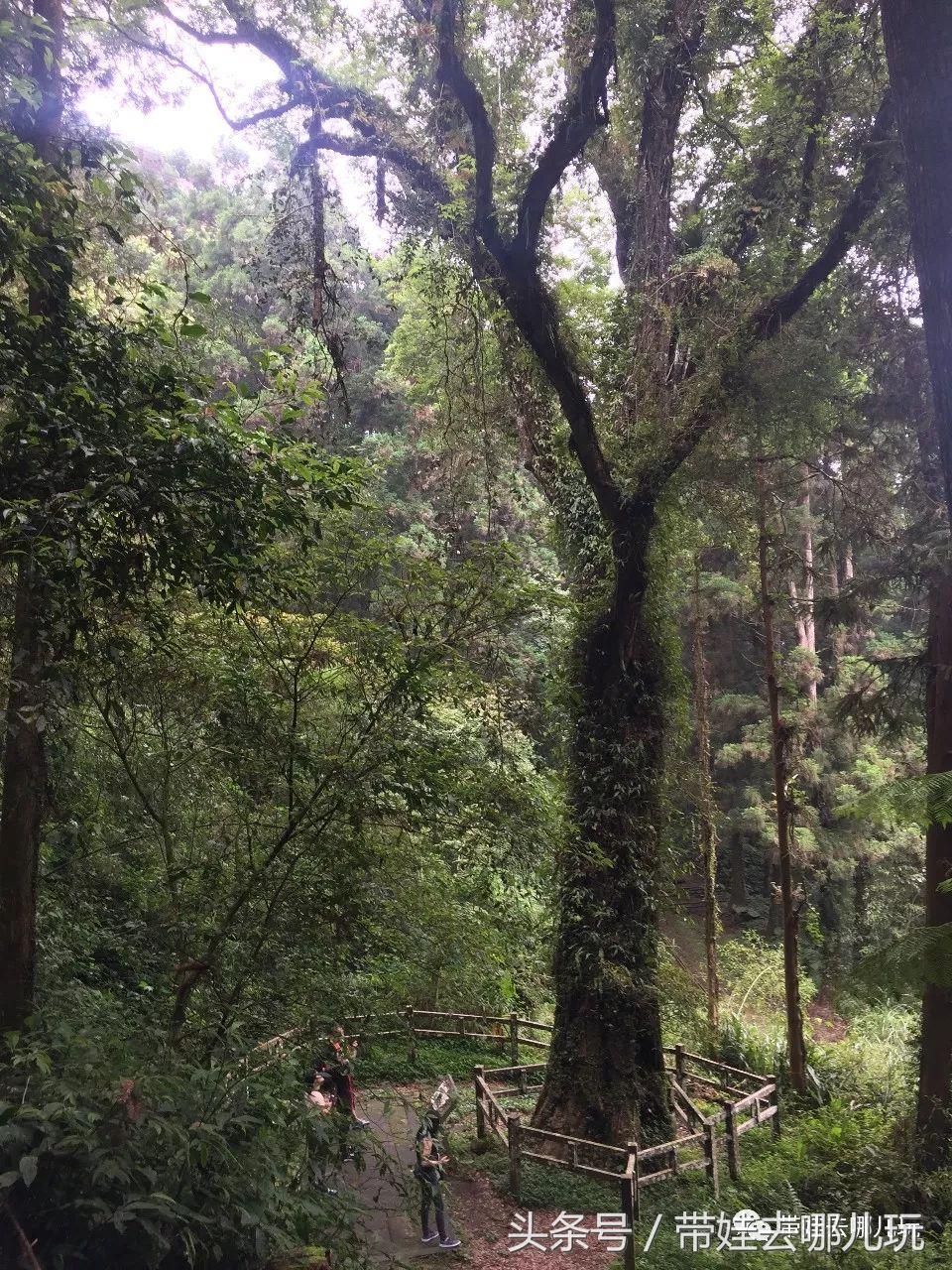 垦丁海洋生物馆夜宿,垦丁夜宿海洋馆攻略
