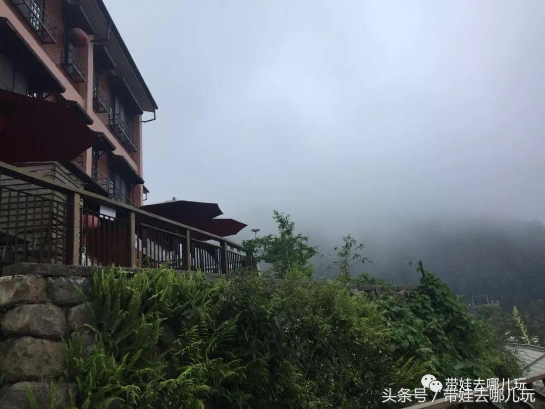 垦丁海洋生物馆夜宿,垦丁夜宿海洋馆攻略