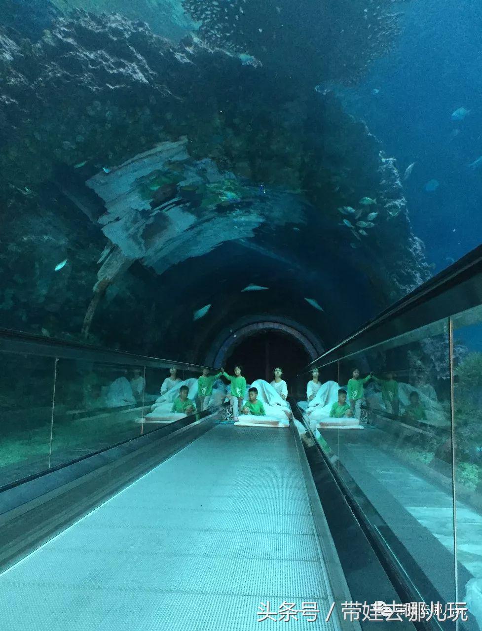 垦丁海洋生物馆夜宿,垦丁夜宿海洋馆攻略