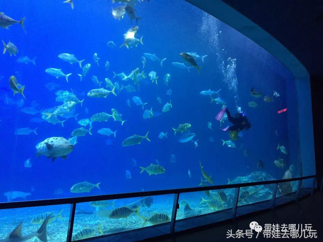 垦丁海洋生物馆夜宿,垦丁夜宿海洋馆攻略