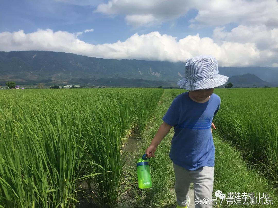 垦丁海洋生物馆夜宿,垦丁夜宿海洋馆攻略