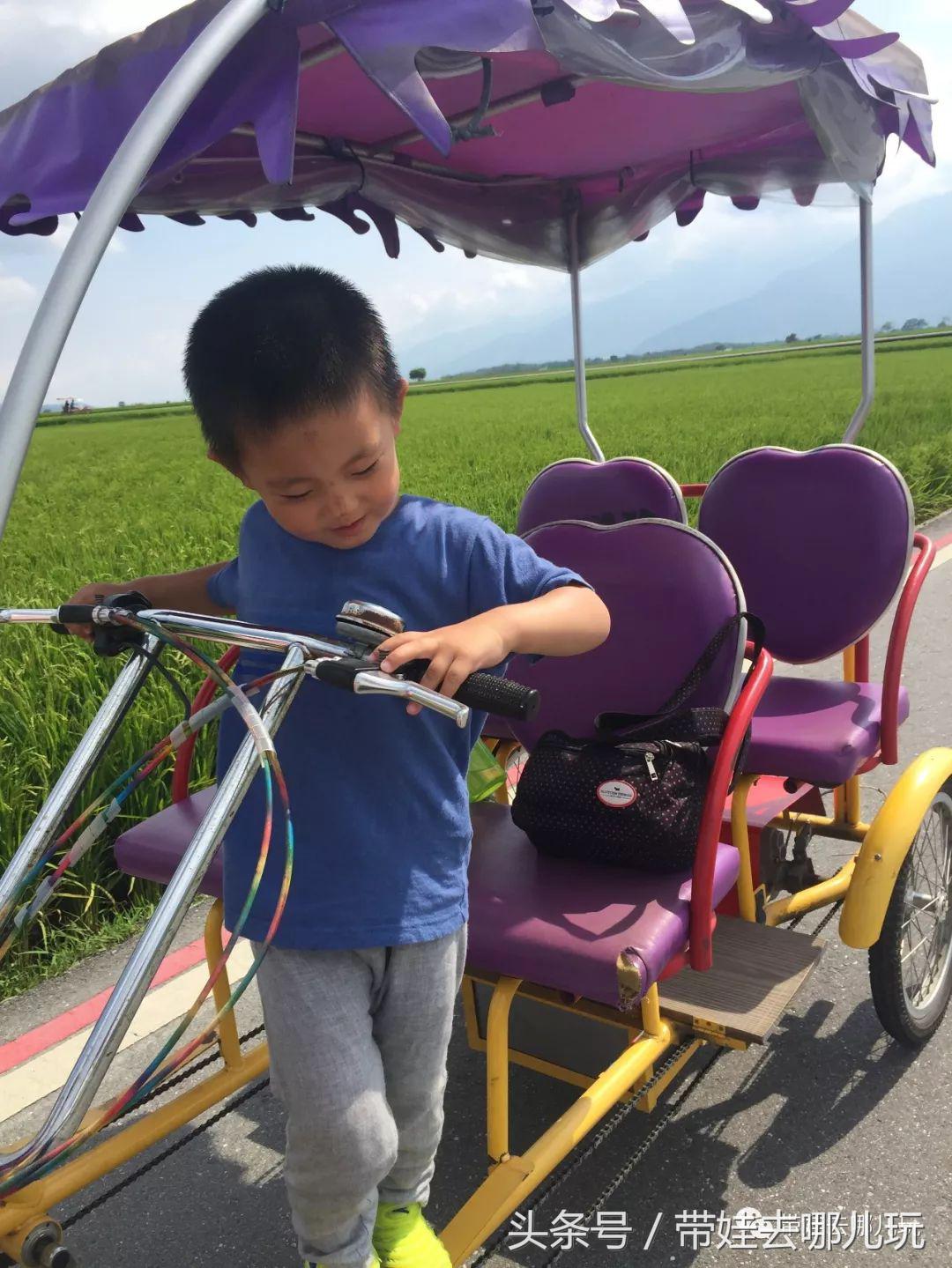 垦丁海洋生物馆夜宿,垦丁夜宿海洋馆攻略