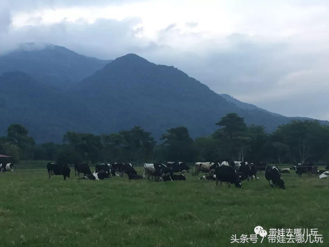 垦丁海洋生物馆夜宿,垦丁夜宿海洋馆攻略