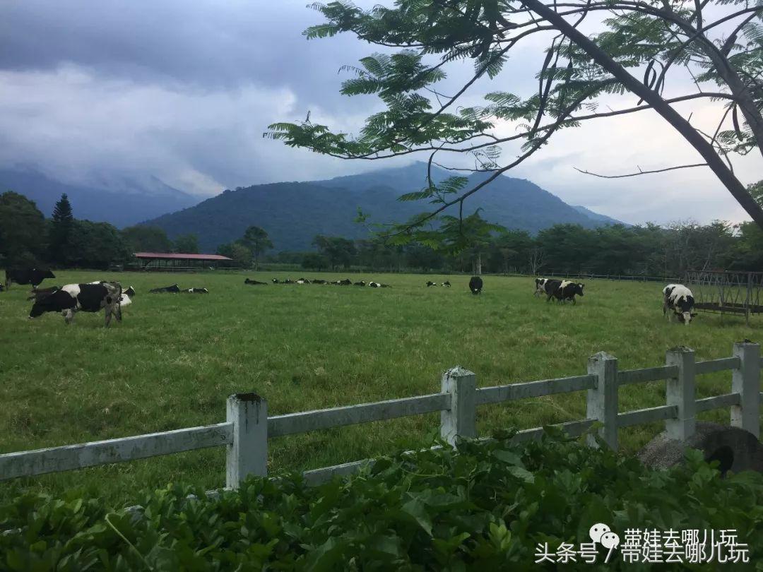 垦丁海洋生物馆夜宿,垦丁夜宿海洋馆攻略