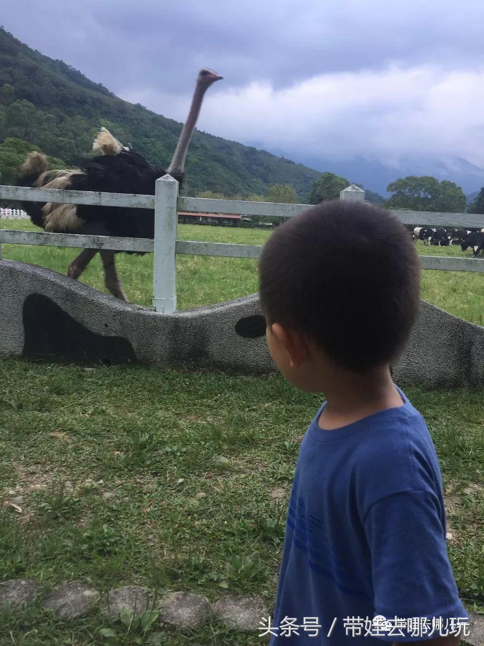 垦丁海洋生物馆夜宿,垦丁夜宿海洋馆攻略
