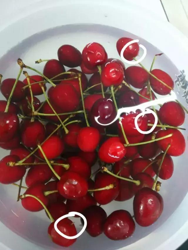 有杨梅虫的杨梅,樱桃和杨梅为什么都有虫子病