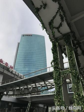 坚果r1拍照实拍,坚果r1拍照速度