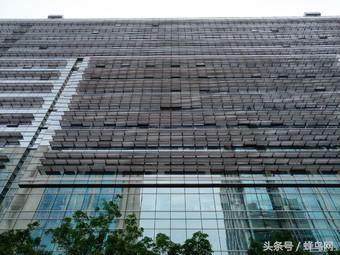 坚果r1拍照实拍,坚果r1拍照速度