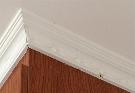 石膏线开裂了怎么修复,石膏线后期开裂怎么修补