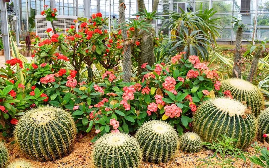 广州周边自驾游好去处亲子,广州周边自驾游亲子两日游攻略