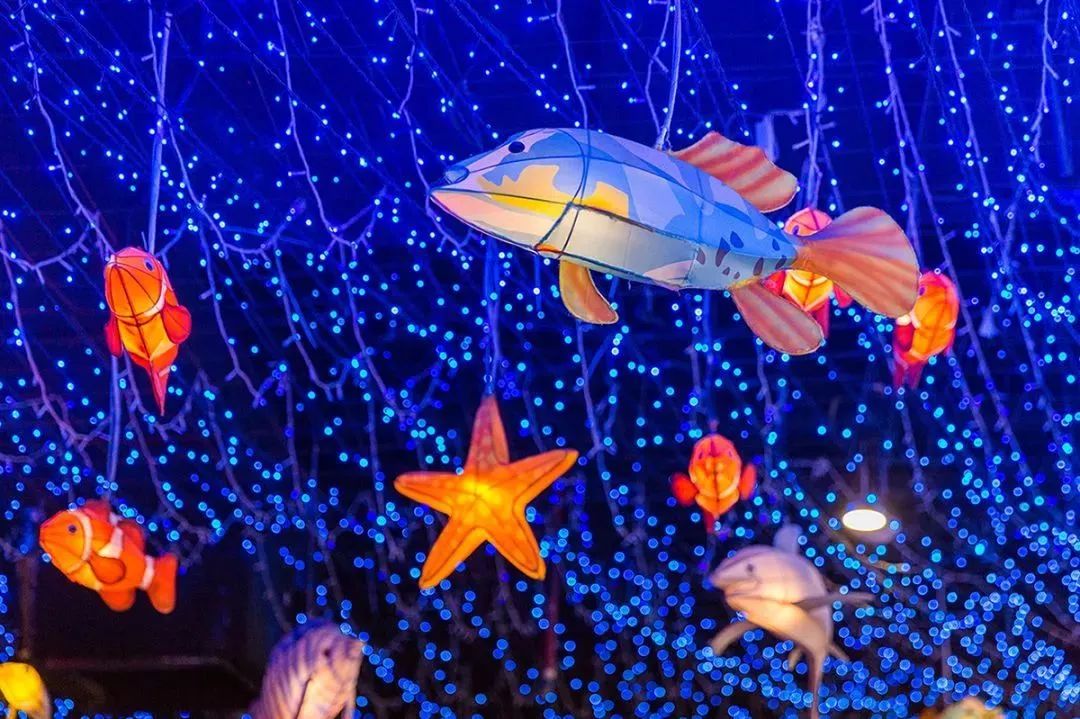 广州周边自驾游好去处亲子,广州周边自驾游亲子两日游攻略