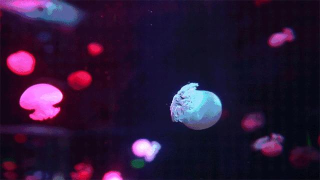 广州周边自驾游好去处亲子,广州周边自驾游亲子两日游攻略