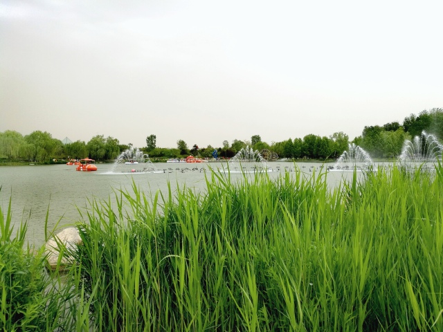 北京国际鲜花港游玩一圈多长时间,北京国际鲜花港作文