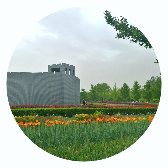 北京国际鲜花港游玩一圈多长时间,北京国际鲜花港作文