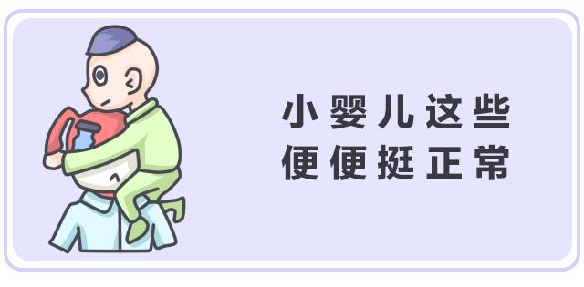 关于便便你不知道的知识,有关便便的知识