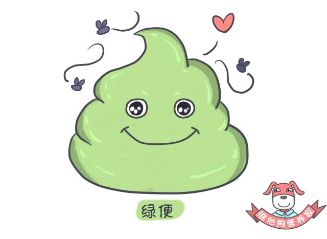 关于便便你不知道的知识,有关便便的知识