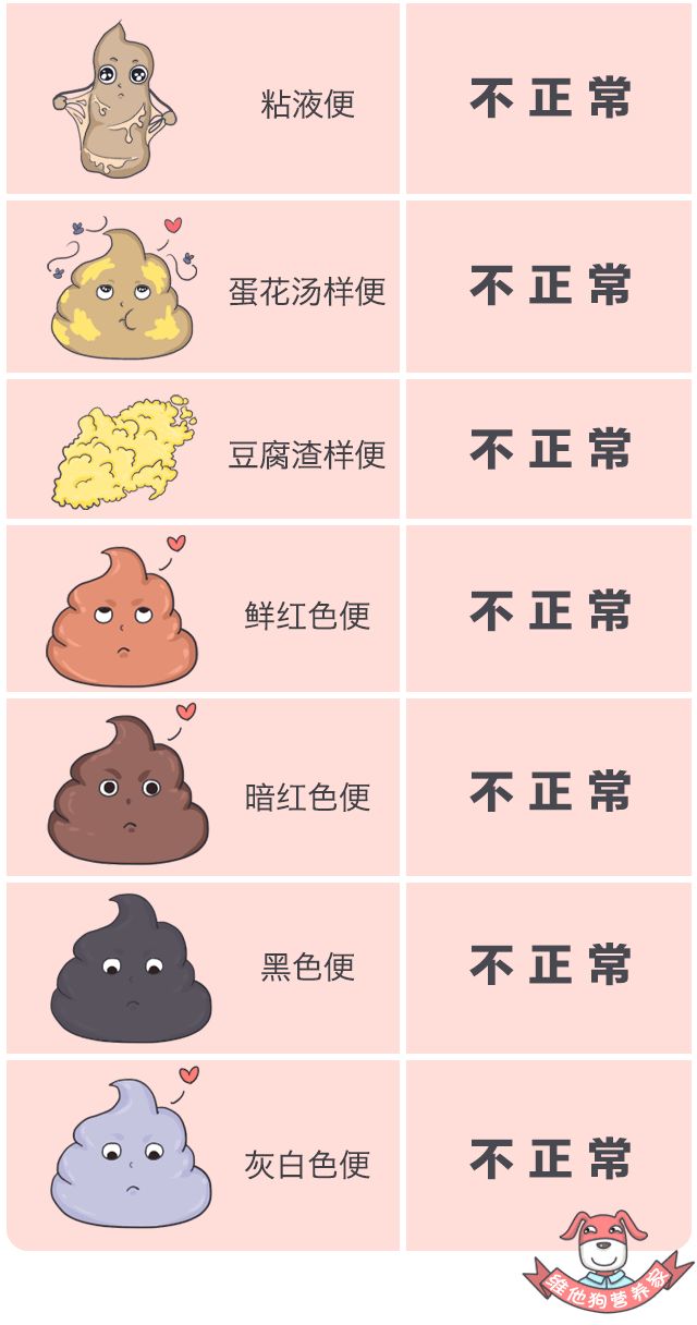 关于便便你不知道的知识,有关便便的知识