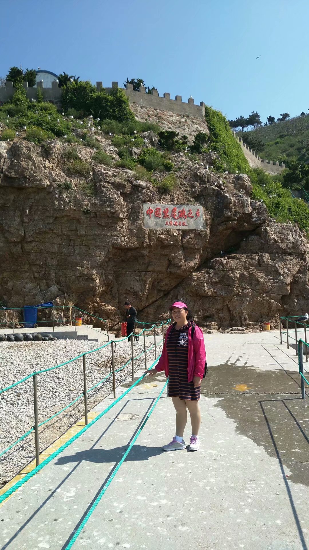 胶东海驴岛,长岛海驴岛