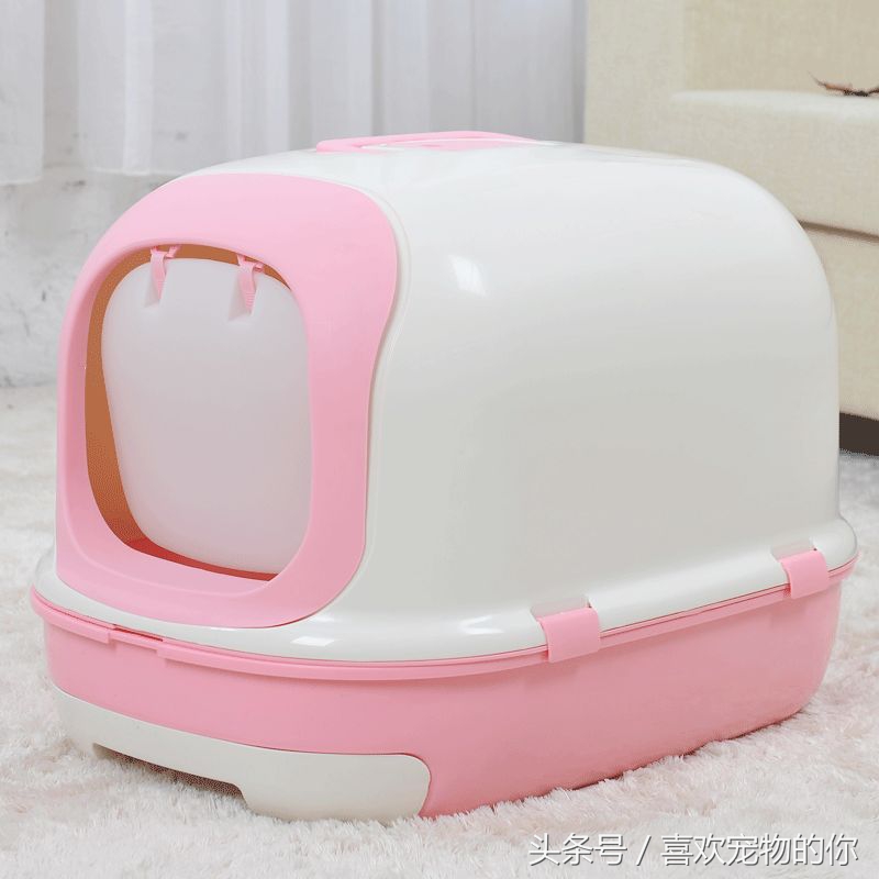 猫砂的处理方法,哪种猫砂不容易被猫弄出来