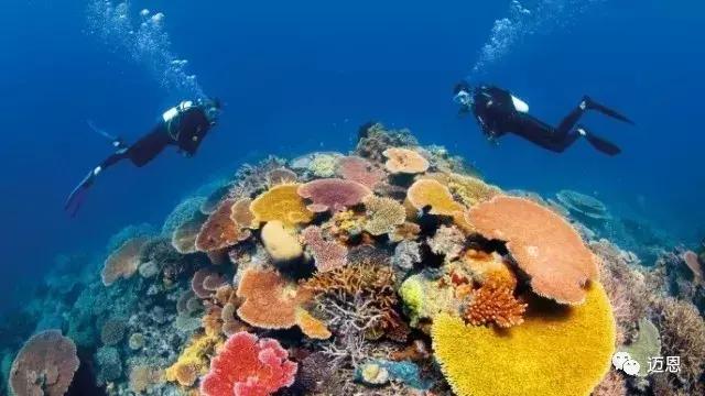 反转地球慢速版,反转地球现场