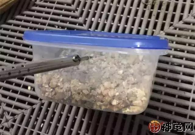 孵化小调查:64%龟友认为塑料孵化箱上需要钻孔