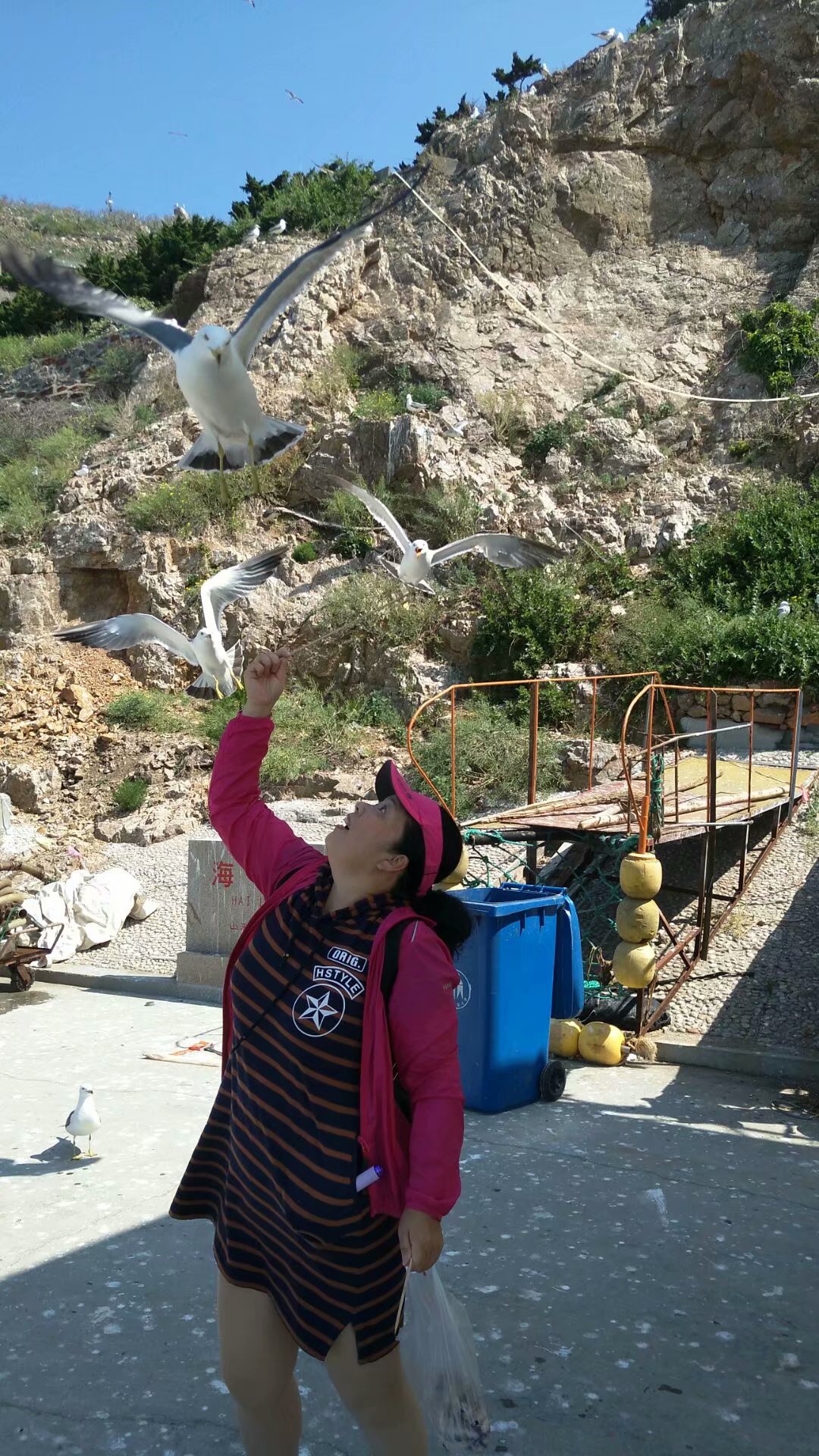 胶东海驴岛,长岛海驴岛