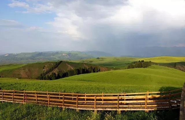 一起享受草原风光大自然的美,这个夏天去哪里草原玩最好