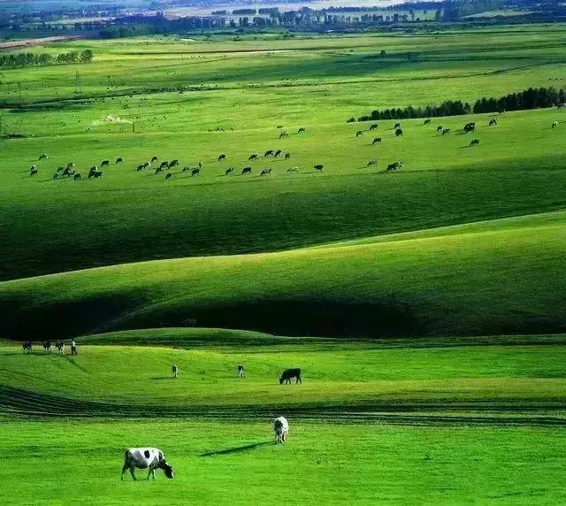 一起享受草原风光大自然的美,这个夏天去哪里草原玩最好