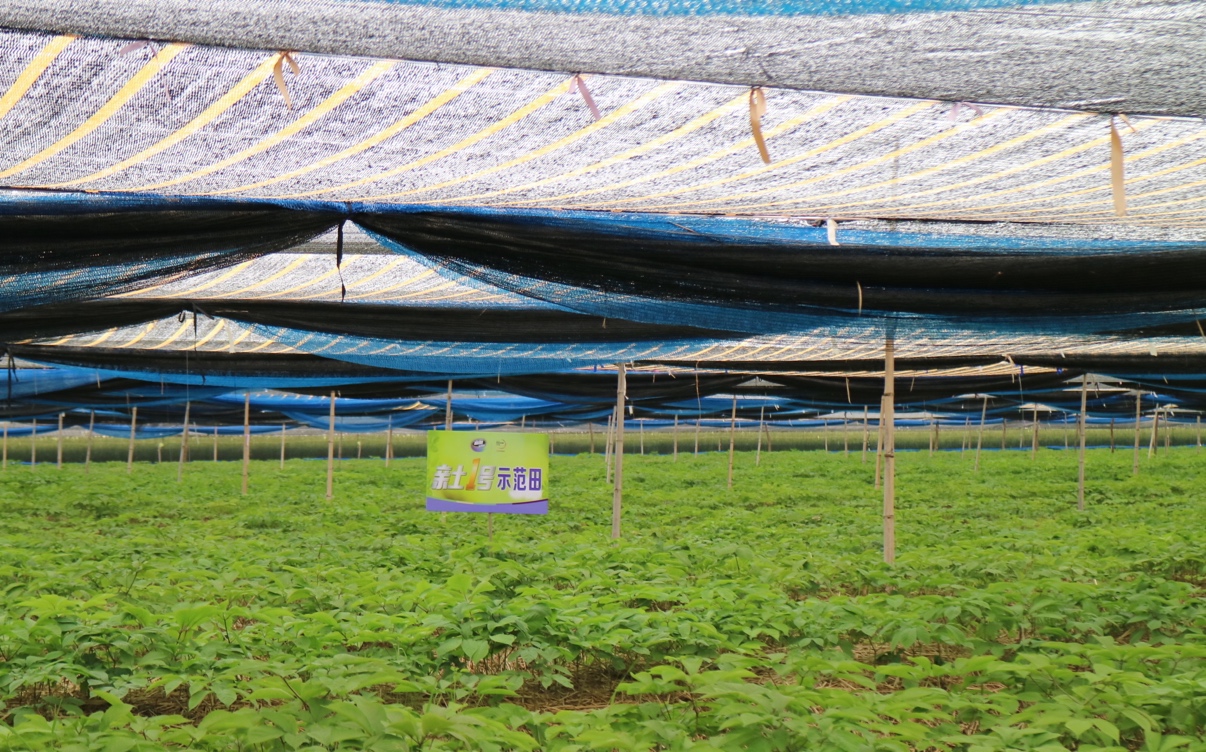 隐形富豪致富之路,隐形富豪如何成功致富