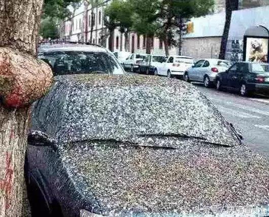 手机镀膜是真的假的,纳米镀膜是真的吗