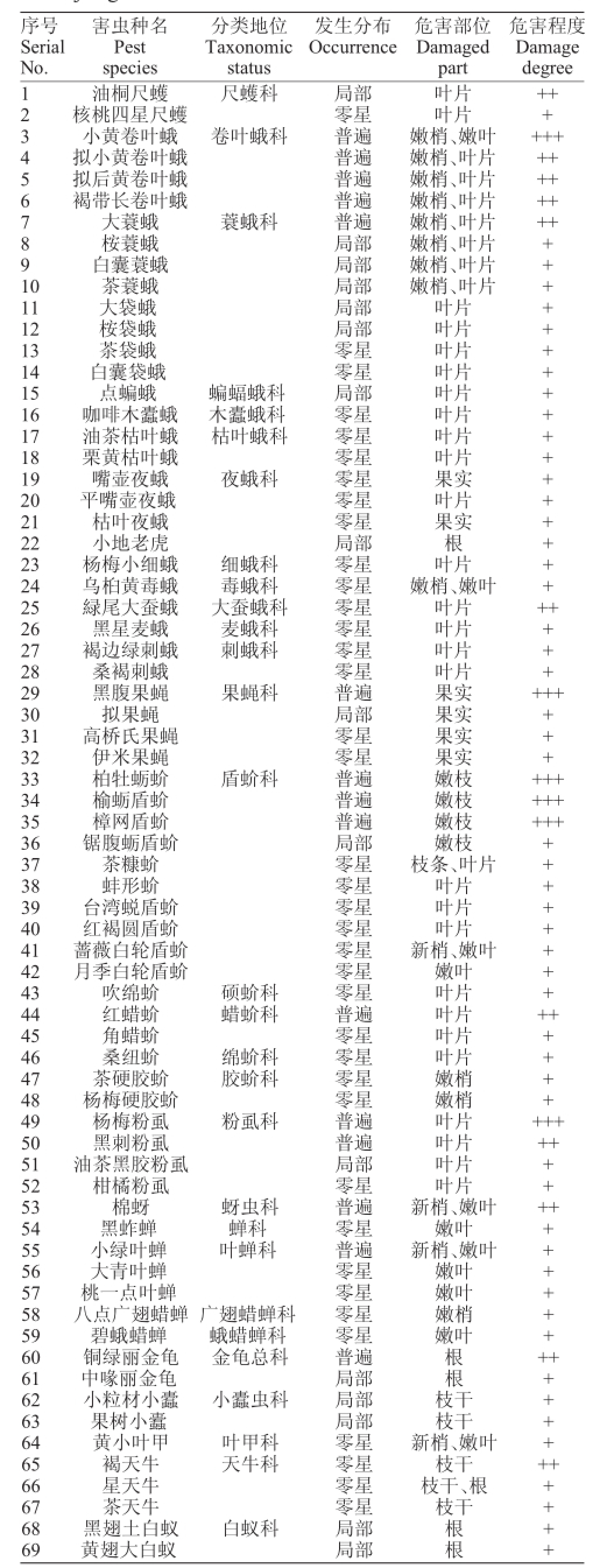 东魁杨梅树苗一年病虫害管理,杨梅树根病虫害防治方法