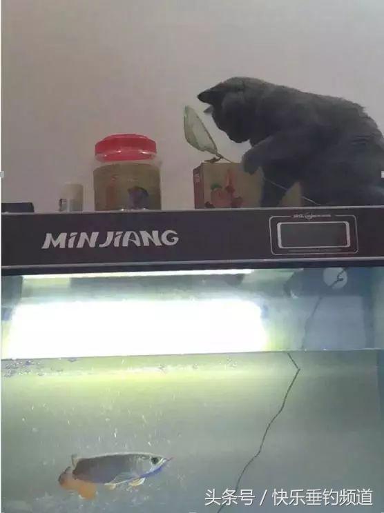 郑州土豪垂钓赛事件,土豪垂钓赛最新消息