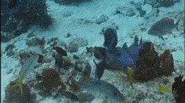 郑州土豪垂钓赛事件,土豪垂钓赛最新消息