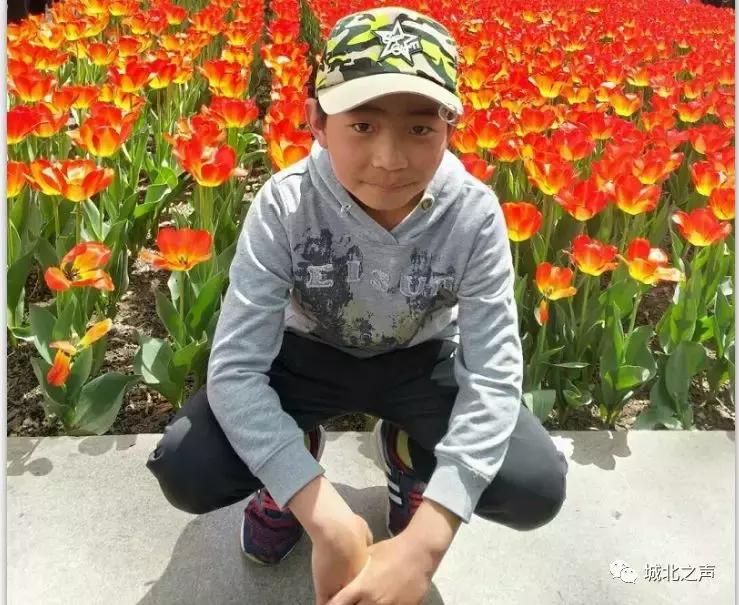 「最美北区人之最美少年（三）」“班级小雷锋”——泉湾小学敏豪