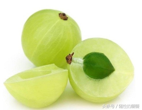 头发掉得很严重怎么保护好毛囊,头发掉秃了如何防脱发育发