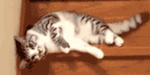 几款贴了烂脸的面膜,这5款口碑好到爆棚的国产面膜