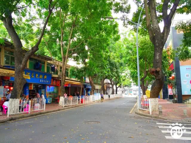 有一条街,叫明心路