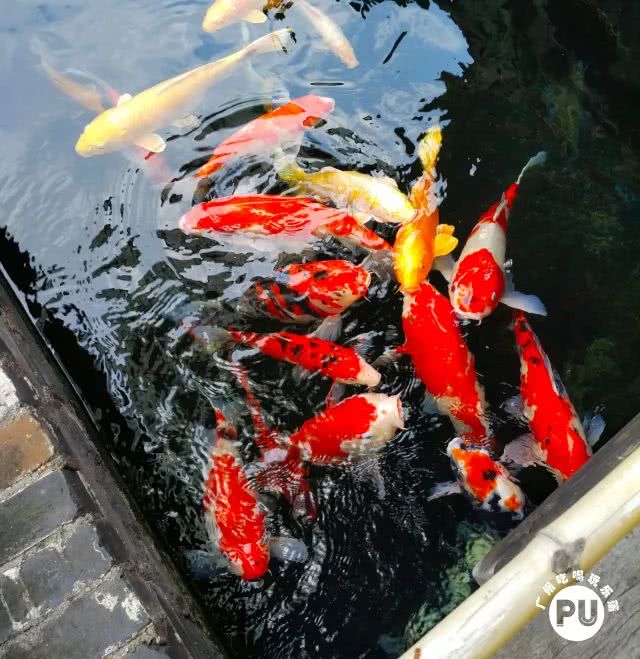 有一条街,叫明心路