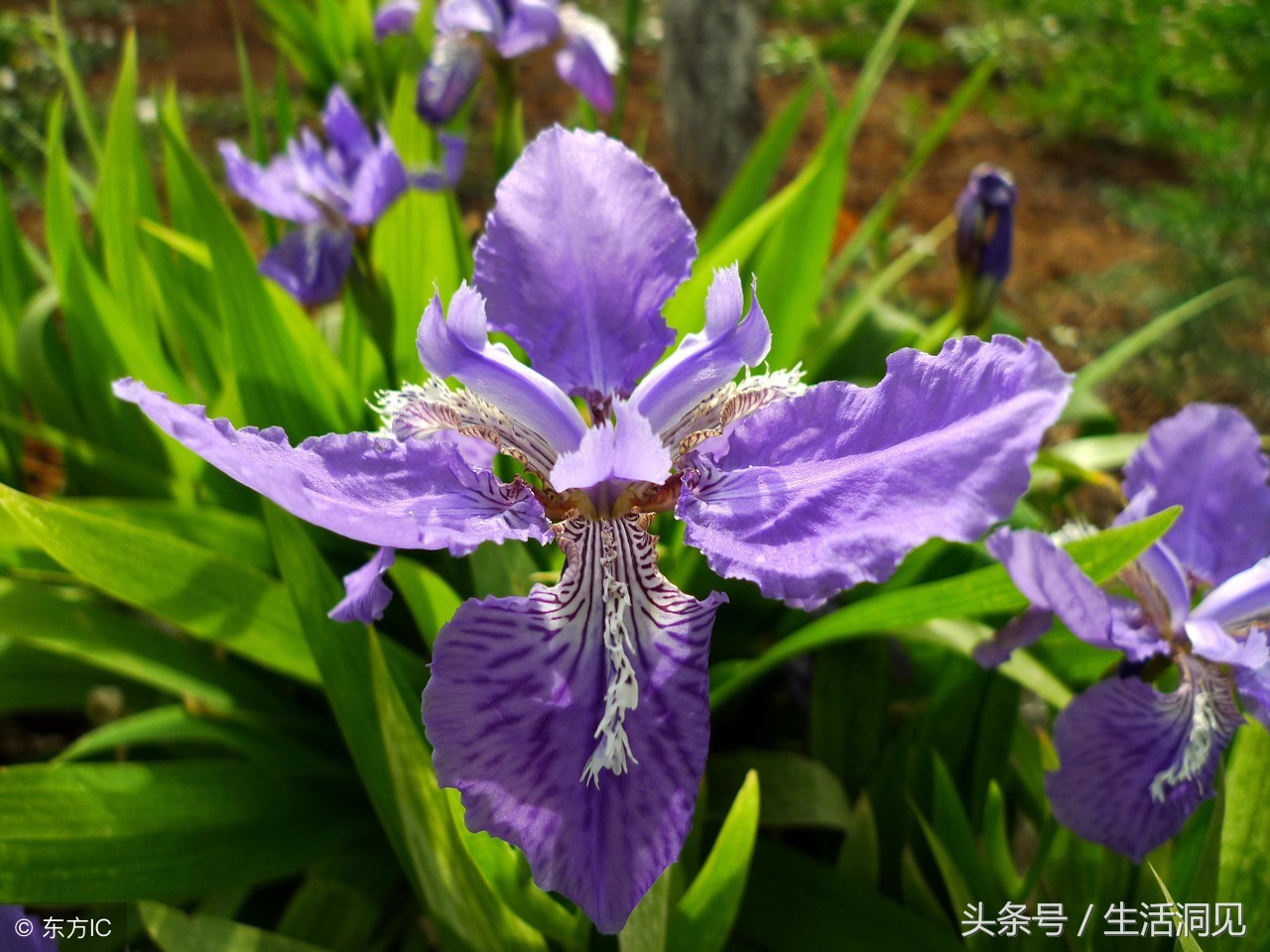 人到老了屁股会萎缩吗,马屁是不是随便拍的