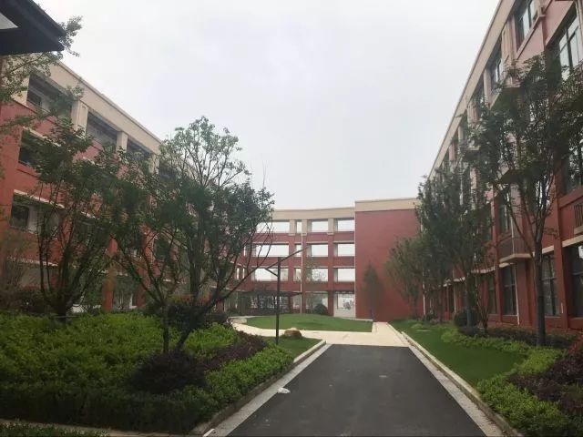 科利华的“亲儿子”来了！全部骨干教师配备！玄武区最牛公办初中新分校招生启动