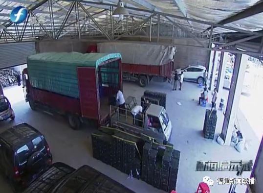 福建杨梅第一村是谁,福建杨梅和云南杨梅哪个好吃