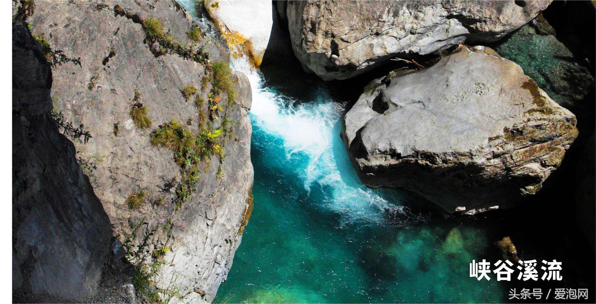 雅安川西竹海必去的三个地方,雅安东拉山大峡谷游记