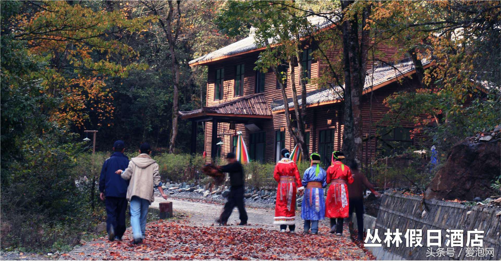 雅安川西竹海必去的三个地方,雅安东拉山大峡谷游记