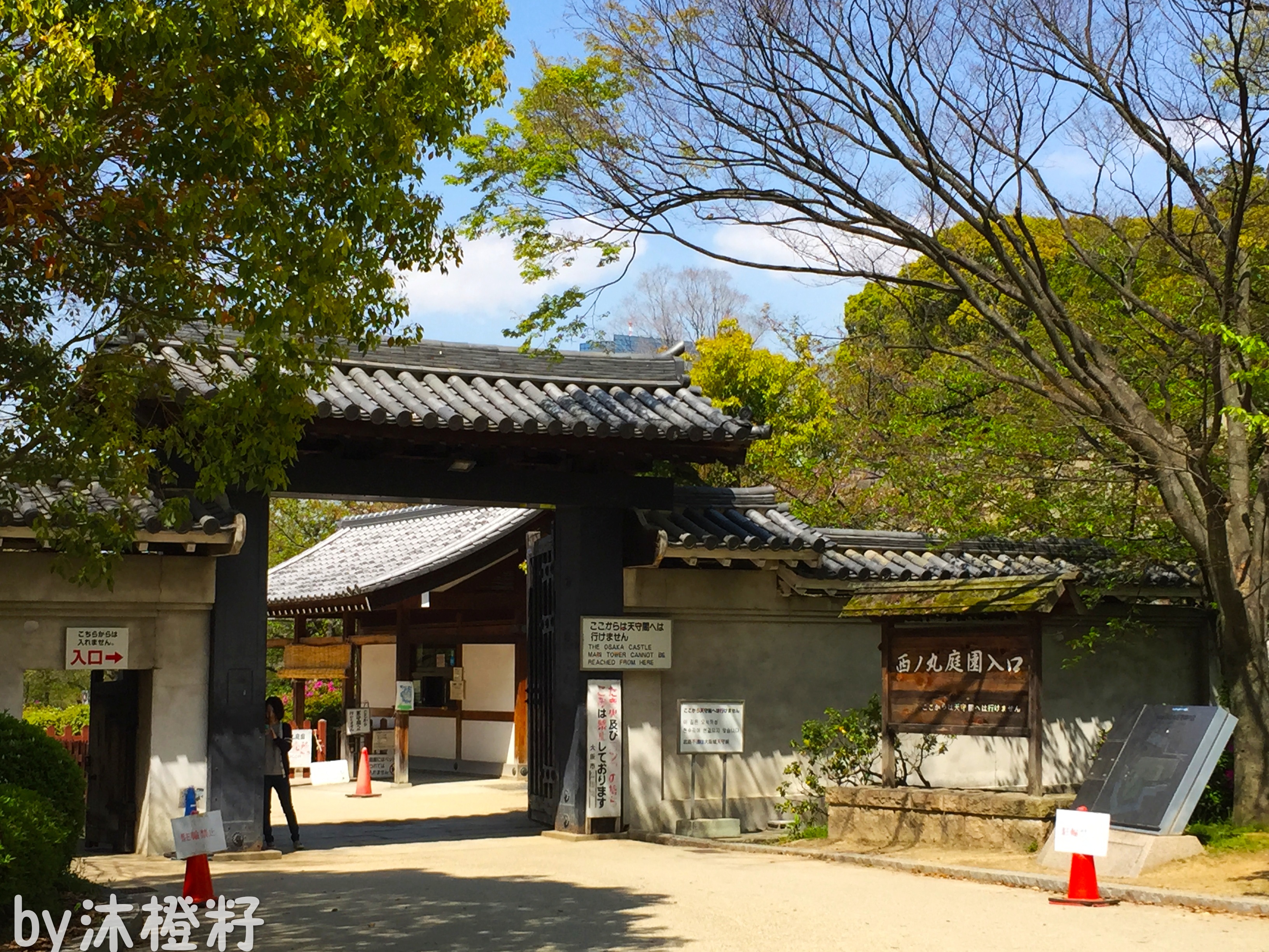 日本一男“玛丽苏”，逆袭入住“假版”黄鹤楼？！