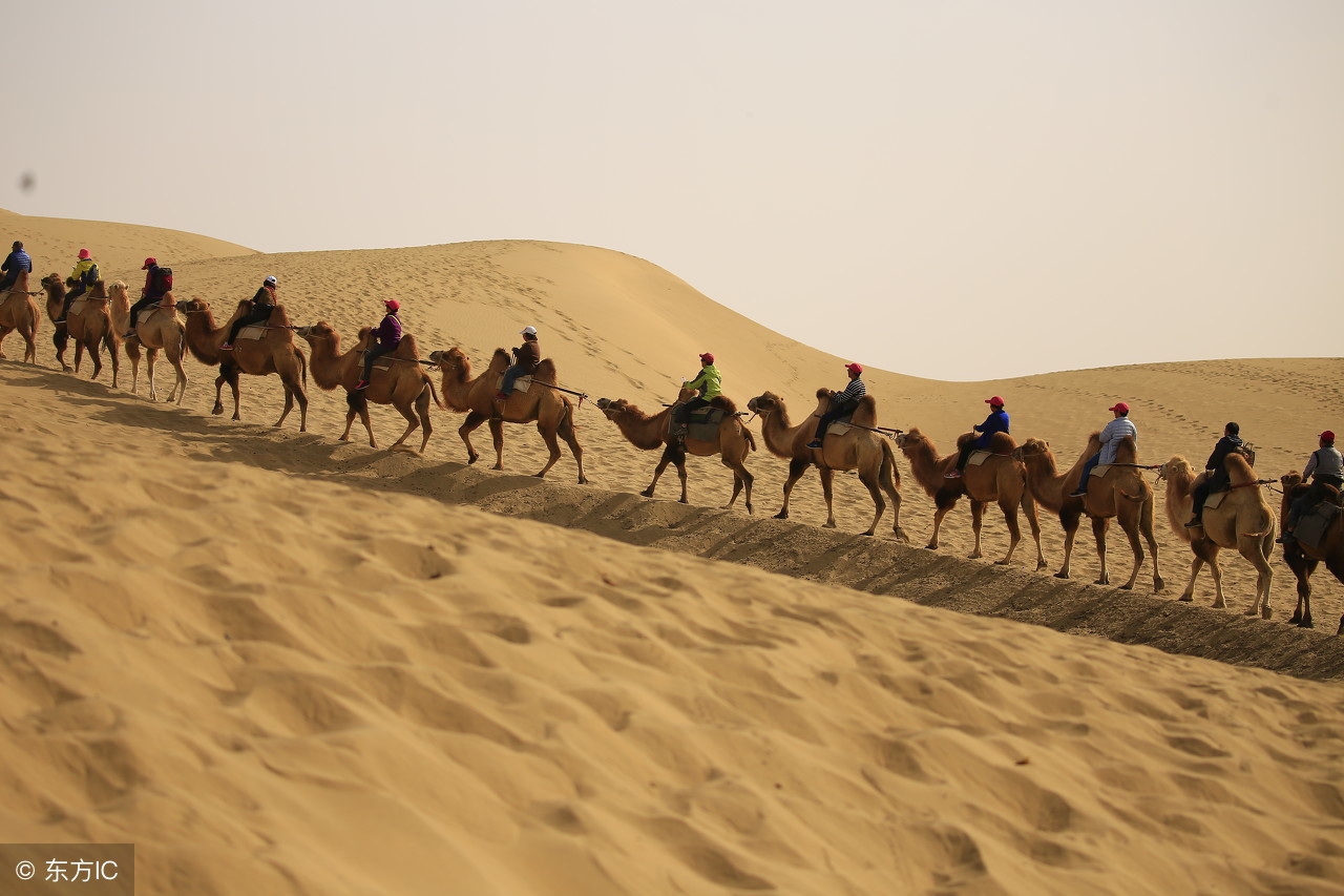 高考常见易错易混成语,高考易错成语100个必考