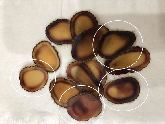 鹿茸蜡片和鲜鹿茸的区别,鹿茸全蜡片和半蜡片的功效区别