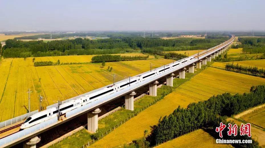 医生误吞枣核成功自救,医生误吞枣核的视频