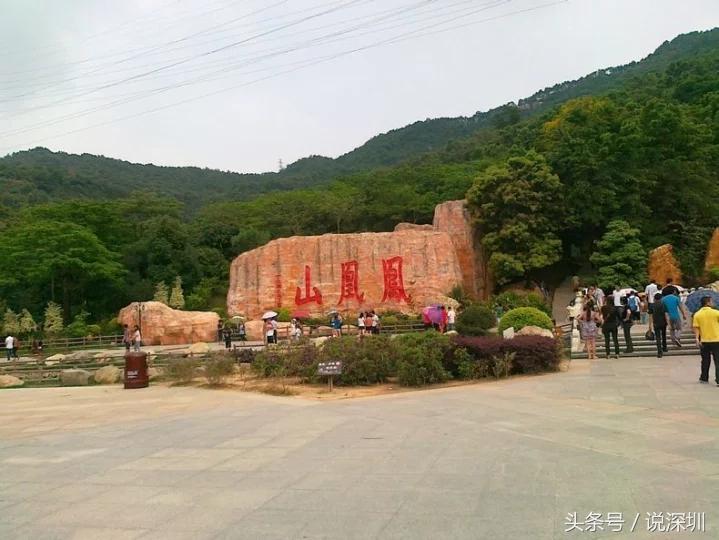 深圳凤凰山从哪里进去,去深圳凤凰山要预约吗