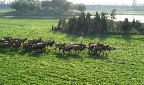 省大发了！这些事儿，在北京全都不要钱！