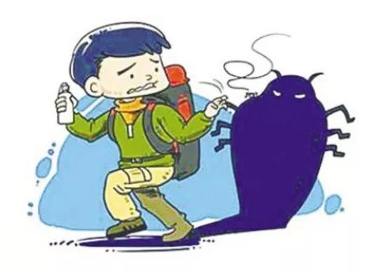 假三文鱼身上有寄生虫吗,三文鱼有寄生虫案例吗